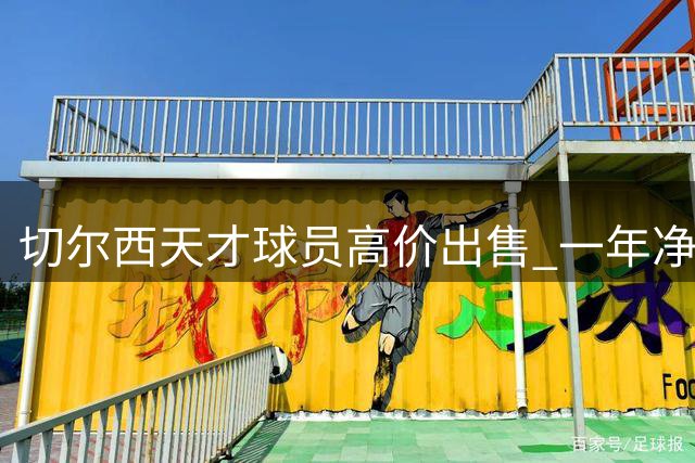切尔西天才球员高价出售 一年净赚2000万英镑