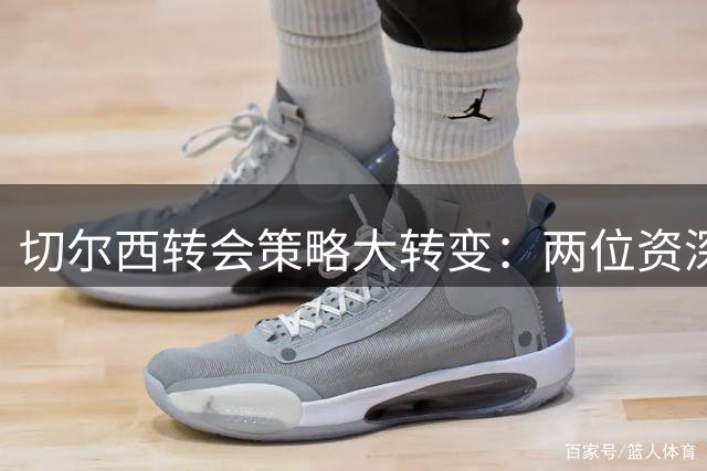 切尔西转会策略大转变：两位资深英超老将成今夏引援目标