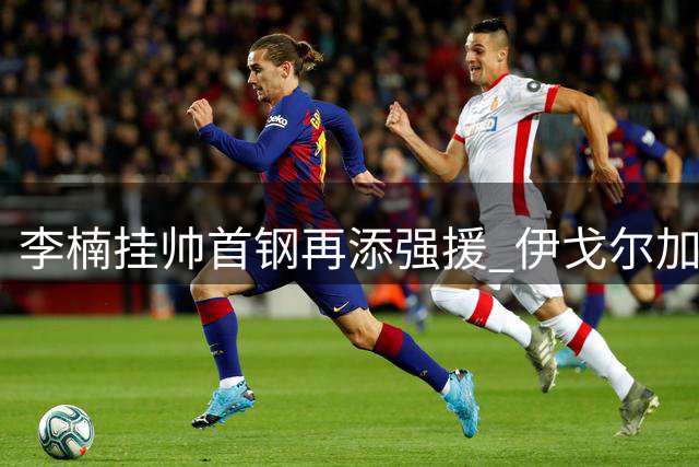 李楠挂帅首钢再添强援 伊戈尔加盟教练组剑指总冠军