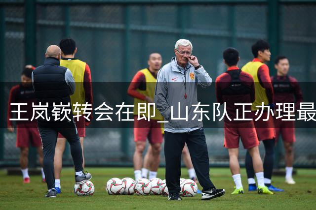 王岚嵚转会在即 山东队正办理最终转会手续