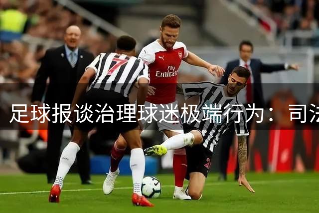足球报谈治理球迷极端行为：司法和行业两个层面都要加大力度